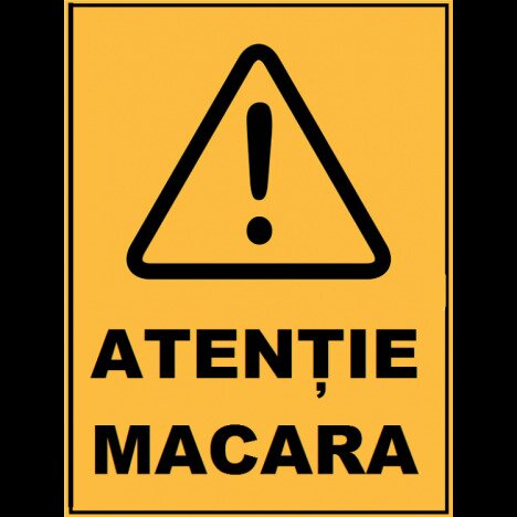 Placuta atentie macara