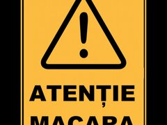 Placuta atentie macara